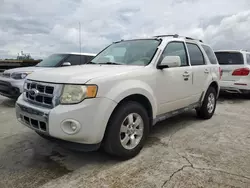 Carros salvage para piezas a la venta en subasta: 2010 Ford Escape Limited