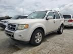 2010 Ford Escape Limited