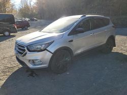 Ford salvage cars for sale: 2019 Ford Escape SE