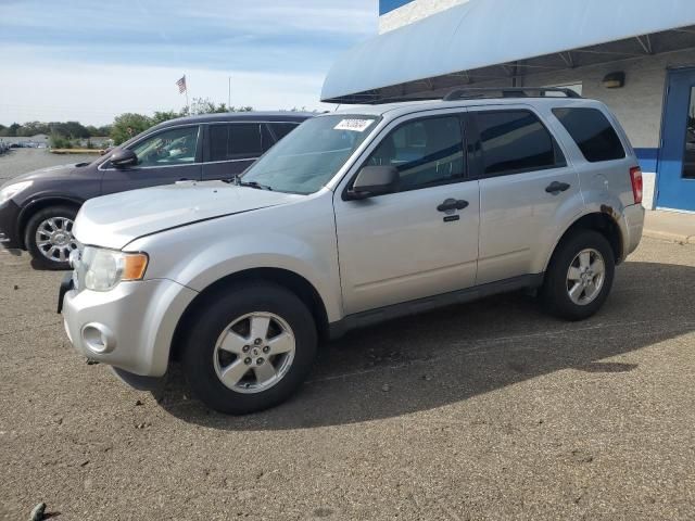 2011 Ford Escape XLT