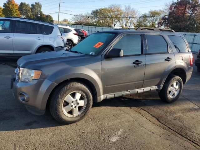 2011 Ford Escape XLT