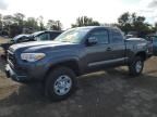 2023 Toyota Tacoma Access Cab