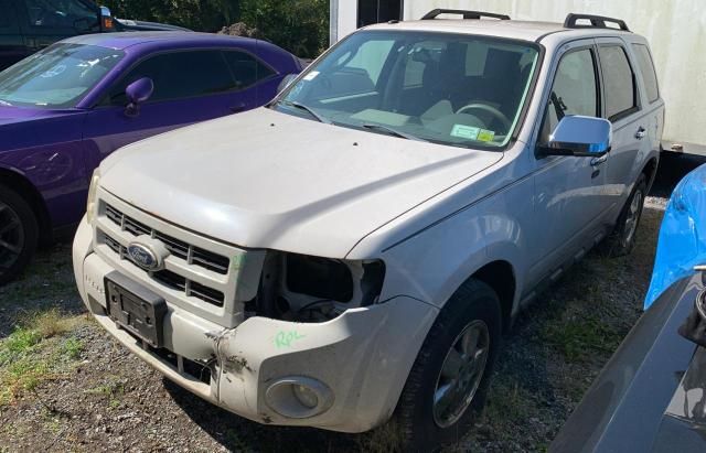 2009 Ford Escape XLT