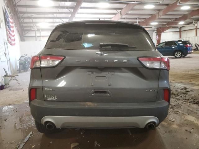 2022 Ford Escape SEL