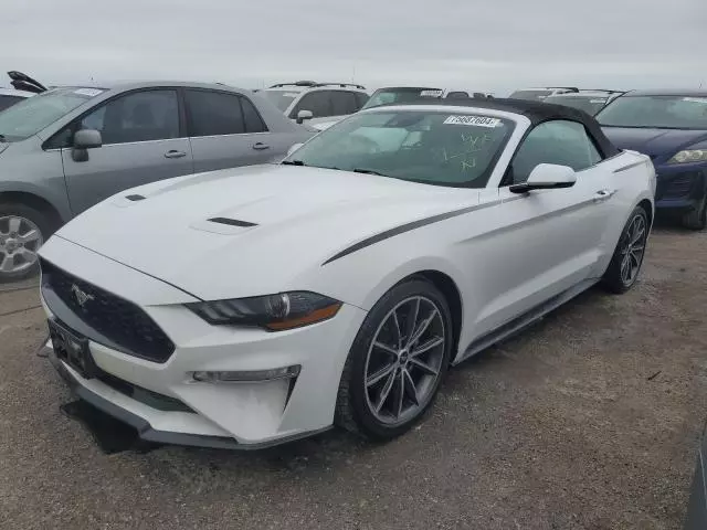 2019 Ford Mustang