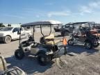 2019 Aspt Golf Cart