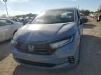 2023 Honda Odyssey SPORT-L