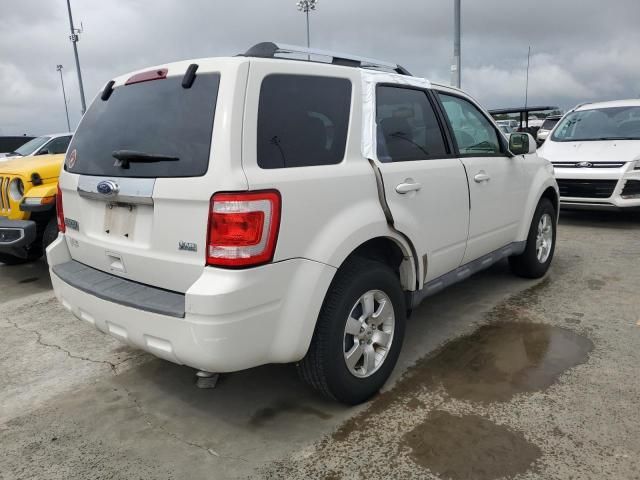 2010 Ford Escape Limited