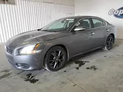 Nissan salvage cars for sale: 2014 Nissan Maxima S