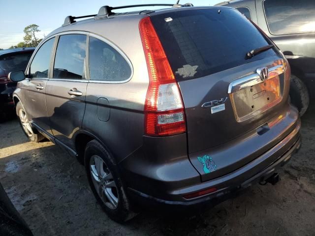 2010 Honda CR-V EXL