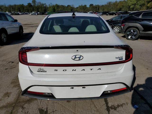 2020 Hyundai Sonata Hybrid