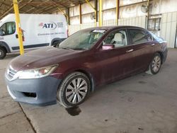 Honda salvage cars for sale: 2013 Honda Accord EX