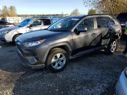 Toyota salvage cars for sale: 2020 Toyota Rav4 XLE