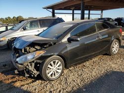 Salvage cars for sale at Tanner, AL auction: 2016 KIA Forte EX