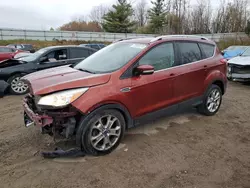 Ford Escape salvage cars for sale: 2014 Ford Escape Titanium