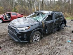 Carros salvage sin ofertas aún a la venta en subasta: 2023 Toyota Rav4 XLE