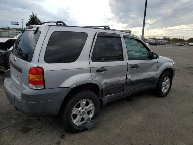 2005 Ford Escape XLT