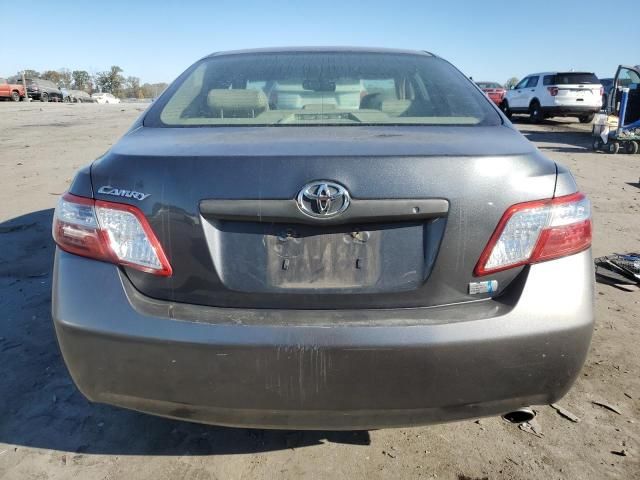 2008 Toyota Camry Hybrid