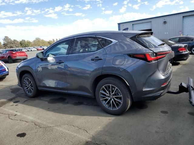 2024 Lexus NX 350H Base