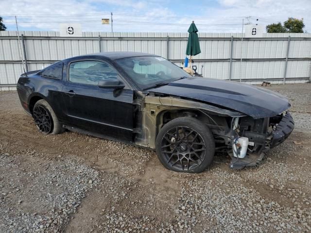 2010 Ford Mustang