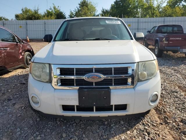 2008 Ford Escape XLT