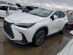 2023 Lexus NX 250 en venta en Riverview, FL