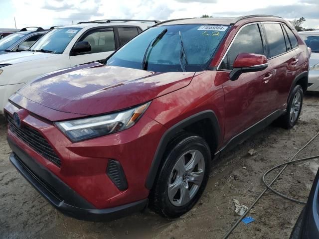 2022 Toyota Rav4 XLE