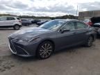 2020 Lexus ES 350