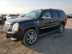 Cadillac salvage cars for sale: 2008 Cadillac Escalade Luxury