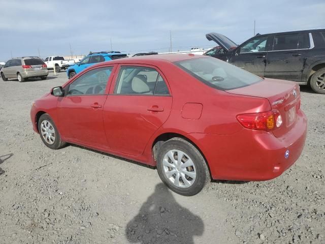 2010 Toyota Corolla Base