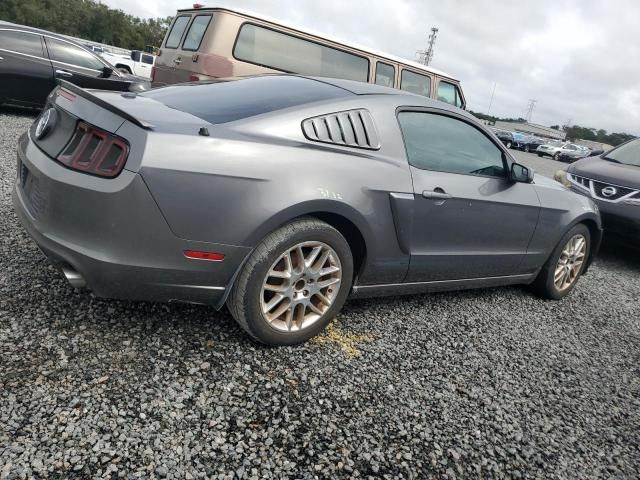 2013 Ford Mustang