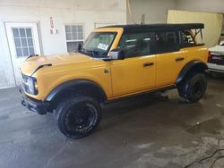 Lots with Bids for sale at auction: 2021 Ford Bronco Base