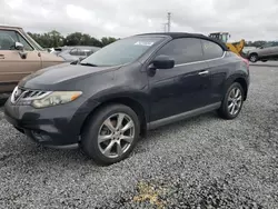 2014 Nissan Murano Crosscabriolet en venta en Midway, FL