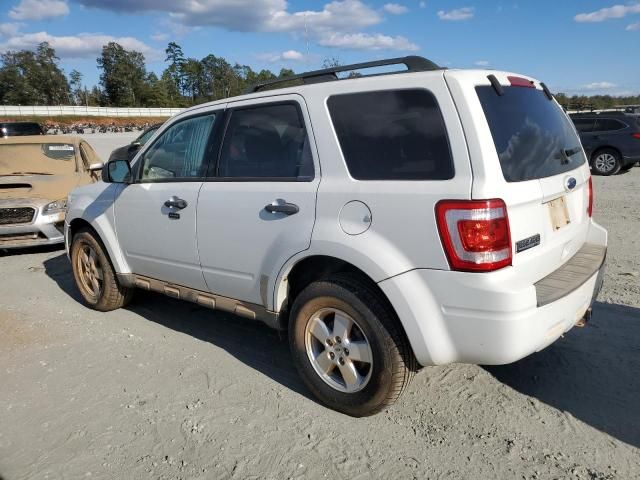 2010 Ford Escape XLT