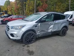 Ford salvage cars for sale: 2017 Ford Escape SE