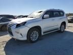 2017 Lexus GX 460