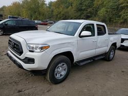 Salvage cars for sale at Marlboro, NY auction: 2023 Toyota Tacoma Double Cab