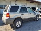 2005 Ford Escape XLT