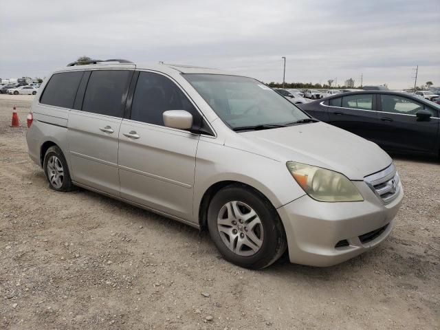 2005 Honda Odyssey EXL