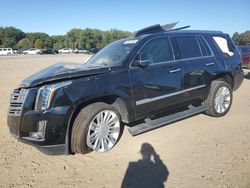 Cadillac Vehiculos salvage en venta: 2019 Cadillac Escalade Platinum