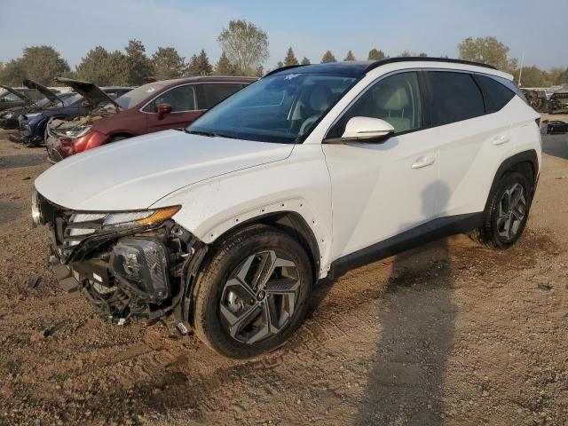 2023 Hyundai Tucson SEL Convenience