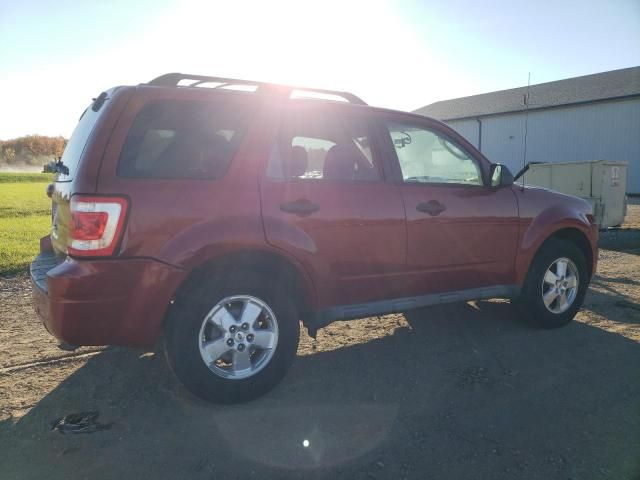 2010 Ford Escape XLT