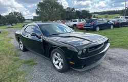 Salvage cars for sale at Apopka, FL auction: 2009 Dodge Challenger SE