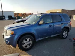 Ford Vehiculos salvage en venta: 2010 Ford Escape XLT