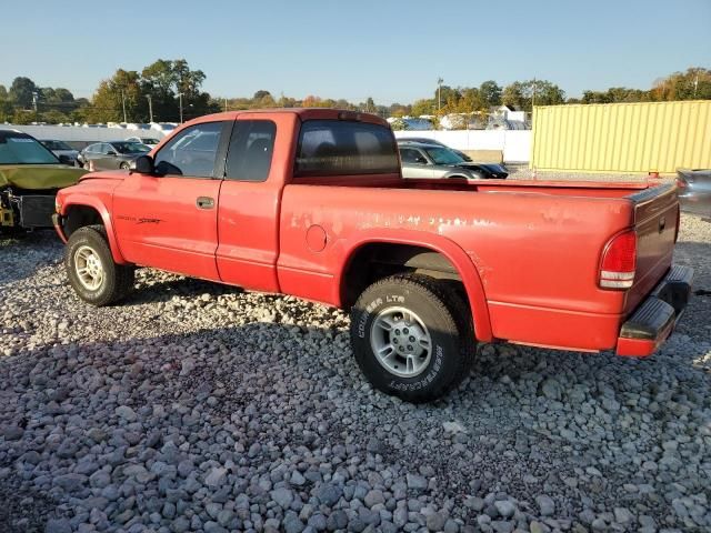 1999 Dodge Dakota