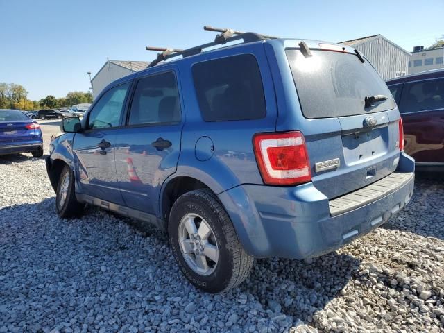 2010 Ford Escape XLT