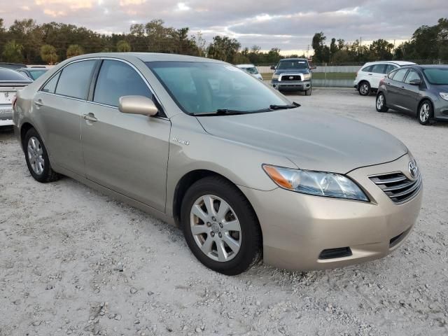 2007 Toyota Camry Hybrid