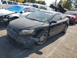 Salvage cars for sale from Copart Denver, CO: 2006 Scion TC