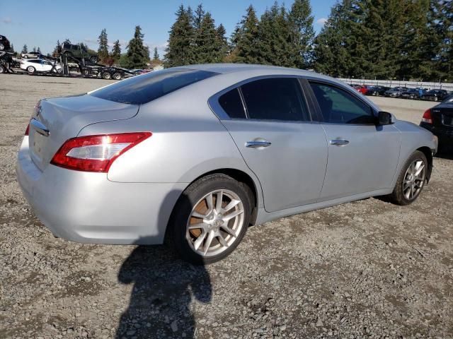 2009 Nissan Maxima S