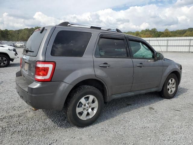 2011 Ford Escape Limited